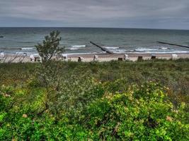 ahrenshoop at the baltic sea photo