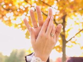 hands of wedding couple  in love. Relationship, love and tenderness concept photo