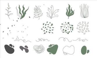 vector de ilustración de colección de elementos abstractos florales