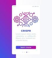 crispr, diseño de banner de edición de ADN con icono de línea vector