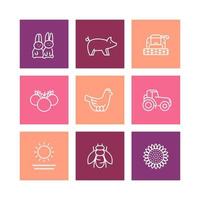 Farm, ranch line icons, rural machinery, agrimotor, harvester, hen, pig, rabbits, crop, vegetables, square icons isolated on white, vector illustration