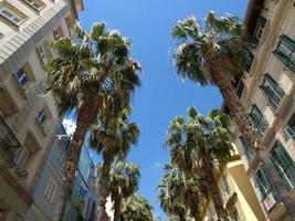 Malaga city in Spain photo