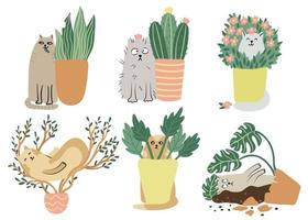 Cats and houseplants set. Hand drawn flat vector illustration isolated on white. Funny  animal characters. Potted plants and pets.
