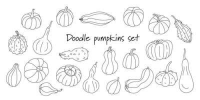 Doodle set with different varieties of pumpkins and squashes on white. Hand drawn vector illustration in black ink isolated outline. Great for coloring books. Farming and gardening theme.