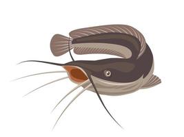 Vector illustration of catfish, isolated on white background, suitable as a label for processed fish products or fishing hobbies.