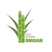 Vector illustration of sugarcane, isolated on white background, suitable as a packaging label for processed sugarcane products.