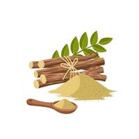 Vector illustration of licorice root powder, scientific name Glycyrrhiza glabra, with green leaves, wooden spoon and dried roots, isolated on a white background.