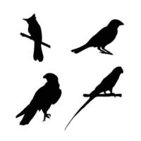 cuatro tipos diferentes de silueta de aves vector