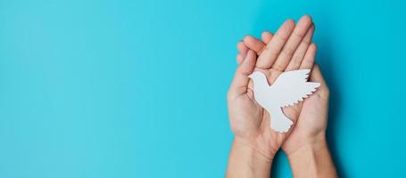 Dia Internacional de la Paz. manos sosteniendo pájaro paloma de papel blanco sobre fondo azul. libertad, esperanza y día mundial de la paz 21 de septiembre conceptos. foto