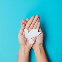 International Day of Peace. Hands holding white paper Dove bird on blue background. Freedom, Hope and World Peace day 21 September concepts. photo