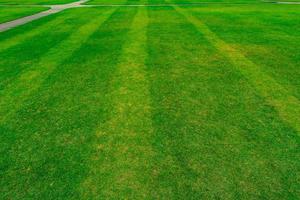 Green grass field with line pattern texture background and walkway photo