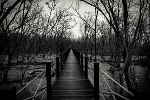 Silhouette of wood bridge with white rope fence in forest. Branches of trees in the cold forest with gray sky background in black and white tone. Despair and hopeless concept photo