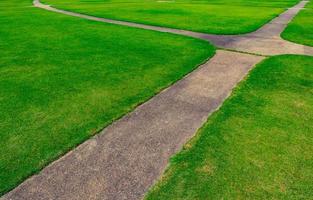 Green grass field with line pattern texture background and walkway photo