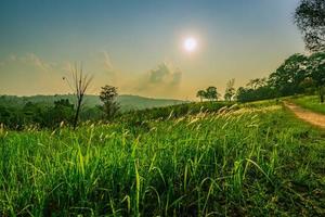 Beautiful rural landscape of green grass field with white flowers and dusty country road and trees on hill near the mountain and blue sky, clouds and sunset. Nature composition. Planet earth. photo