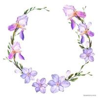 corona de acuarela decorativa con flores de iris y fresia sobre un fondo blanco