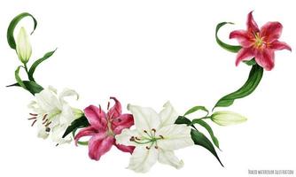 Tropical floral watercolor garland with oriental white and pink lilies vector