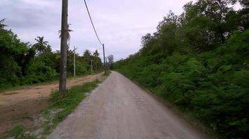 pov guidare sulla strada della natura video