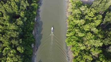 Boat move in mangrove forest video