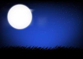 Moon on the sky and grass on the ground at night time graphics design vector illustration