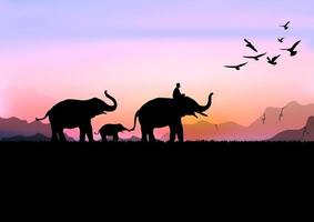 silhouette image Black elephant with Elephant mahout walking at the forest with mountain and sunset background Evening light vector Illustration