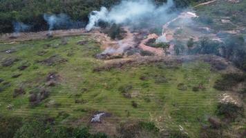 Open burning tree at farm of Malaysia video