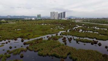 Aerial fly over wetland with development of Batu Kawan town video