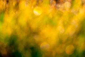 campo de hierba verde y dorado borroso por la mañana con luz solar. Bokeh amarillo de fondo de sol en primavera. fondo de la naturaleza. Ambiente limpio. Fondo abstracto bokeh dorado con luz solar. foto