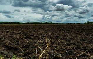 Agriculture plowed field. Black soil plowed field with stormy sky. Dirt soil ground in farm. Tillage soil prepared for planting crop. Fertile soil in organic agricultural farm. Landscape of farmland. photo