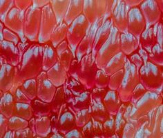 Macro shot of red pomelo pulp texture background. Thailand Siam ruby pomelo fruit. Natural source of vitamin C antioxidants and potassium. Healthy food for slow down aging photo