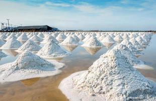 granja y granero de sal marina en tailandia. sal marina orgánica. materia prima de sal industrial. cloruro de sodio. sistema de evaporación solar. fuente de yodo trabajador que trabaja en la granja en un día soleado con cielo azul. foto