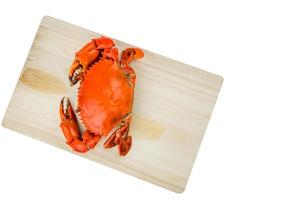 Top view of Scylla serrata. One steamed crab on wood cutting board isolated on white background with copy space. Seafood restaurants concept. photo