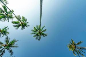 vista inferior del cocotero en el cielo azul claro. concepto de playa de verano y paraíso. palmera de coco tropical. vacaciones de verano en la isla. árbol de coco en el resort junto al mar tropical en un día soleado.