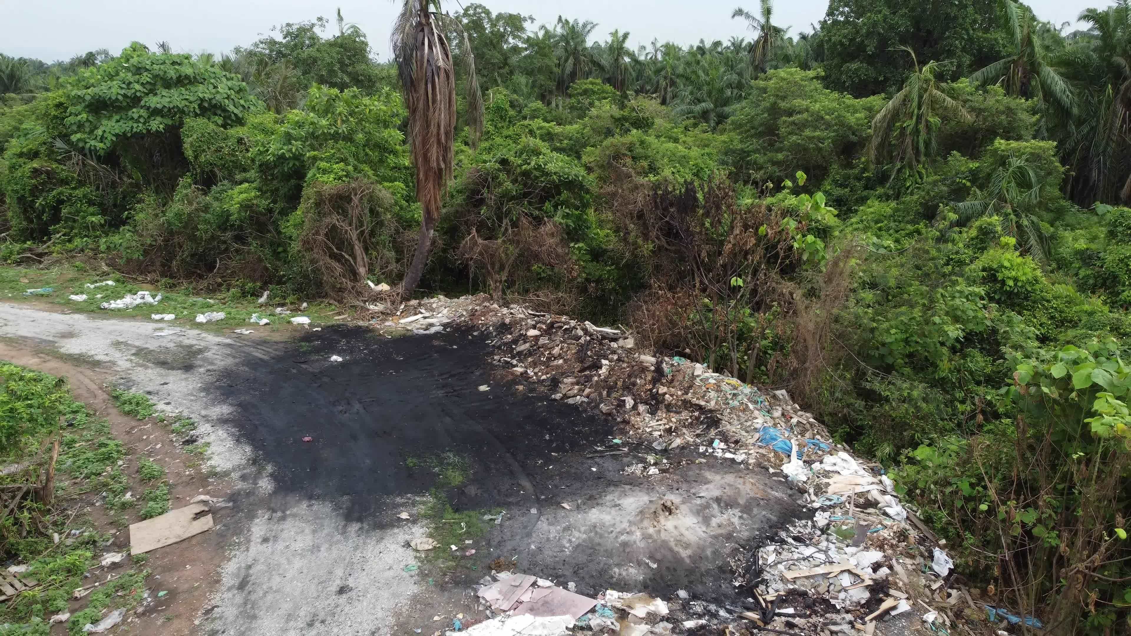 Dump site near tree 7763686 Stock Video at Vecteezy