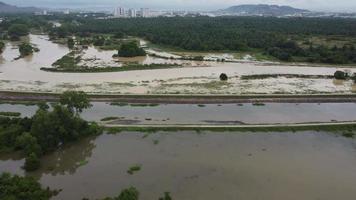vista aérea inundação na plantação na malásia video
