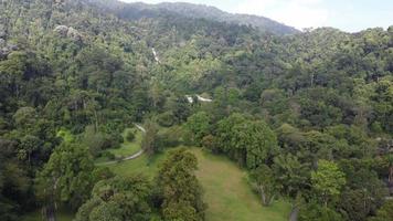 Flygfoto penang botaniska trädgård video