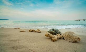 Corals on sand beach by the sea with blue sky and white clouds. Summer vacation on tropical paradise beach concept. Ripple of water splash on sandy beach. Summer vibes. Coral that were washed ashore. photo