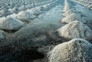 Sea salt farm at Samut Sakhon, Thailand. Organic sea salt. Evaporation and crystallization of sea water. Raw material of salt industrial. Sodium Chloride. Solar evaporation system. Iodine source. photo