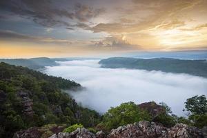 brumoso paisaje de bosque de montaña en la mañana amaneceres niebla y vista de árboles forestales en la parte superior - brumosa niebla matutina en el valle hermoso cielo en tailandia asiático foto