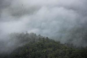 misty forest , Foggy morning mist in valley beautiful in Thailand Asian - Misty landscape mountain fog and forest tree view on top Aerial view photo