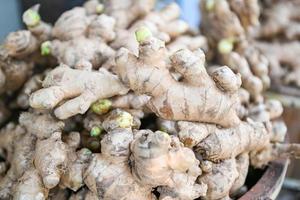 jengibre orgánico fresco en el mercado fresco en tailandia, planta de jengibre fresco cosecha raíz de jengibre en el campo agrícola para vender en el mercado foto