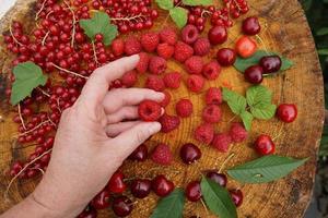 mano femenina con frambuesa. cereza y grosella en el tronco del árbol. foto