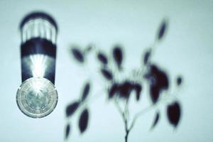 Creative concept still life glass of water an a plant shadow in blue. photo