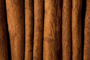 Macro photo of cinnamon stick row