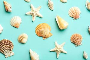 Summer holiday concept.Top view of creative pattern made of sea shells and starfish photo