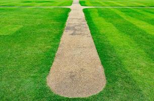 campo de hierba verde con fondo de textura de patrón de línea y pasarela foto