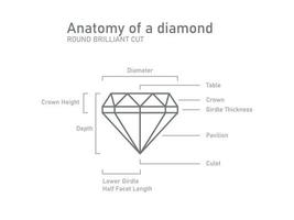 Anatomía de un esquema de diamantes. formas y nombres brillantes. vector