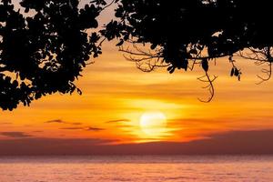 Summer sunset sky at tropical beach. View from under the tree. Silhouette tree and orange sunset sky. Skyline and seawater. Scenic view of big sun and golden sunset sky. Summer vacation travel.
