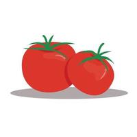 tomate dibujado a mano ilustración vector