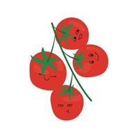 ilustración de rama de tomate con caras vector