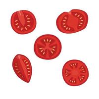 Collection set of cut red tomatoes. Half tomatoes illustration vector